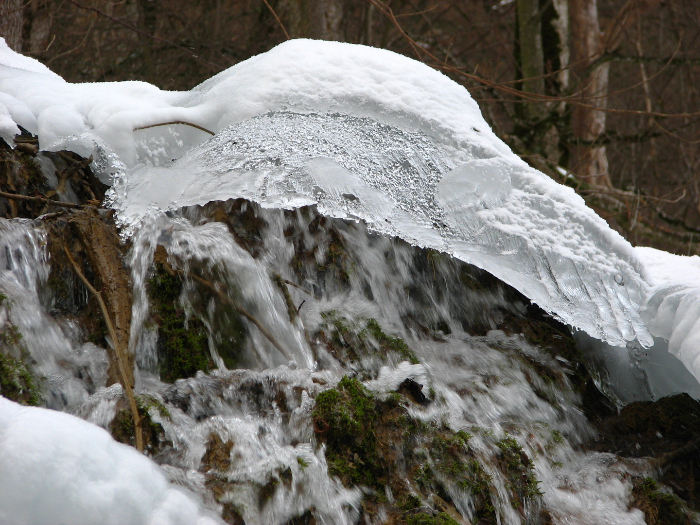 Schneekoppe