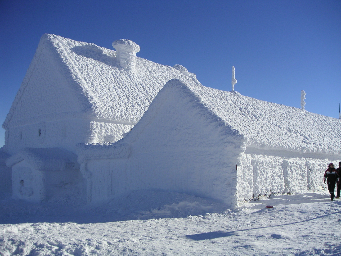 Schneekoppe im Winter