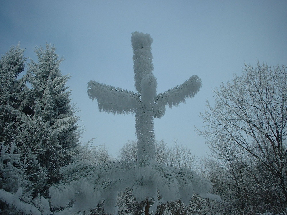 Schneekreuz