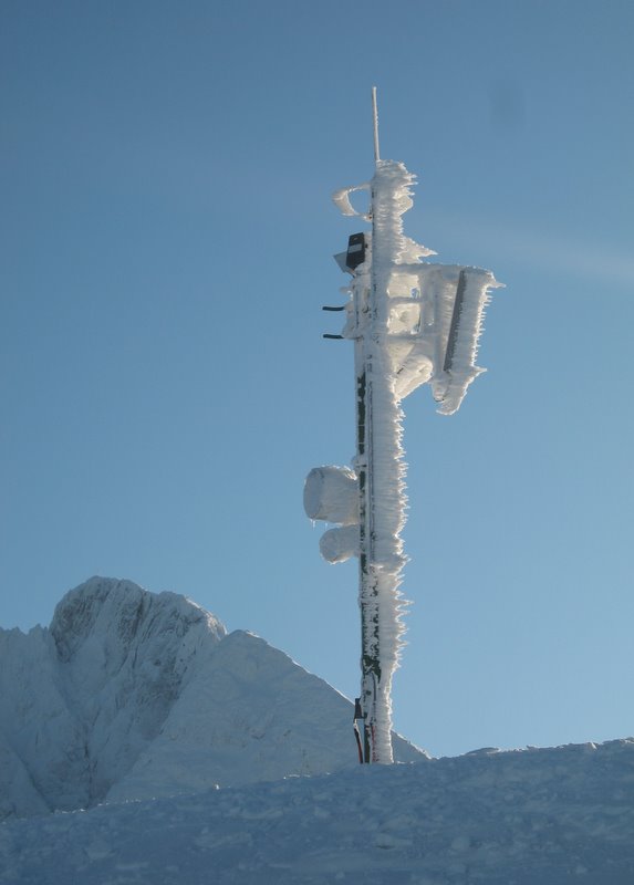 Schneekreuz solo