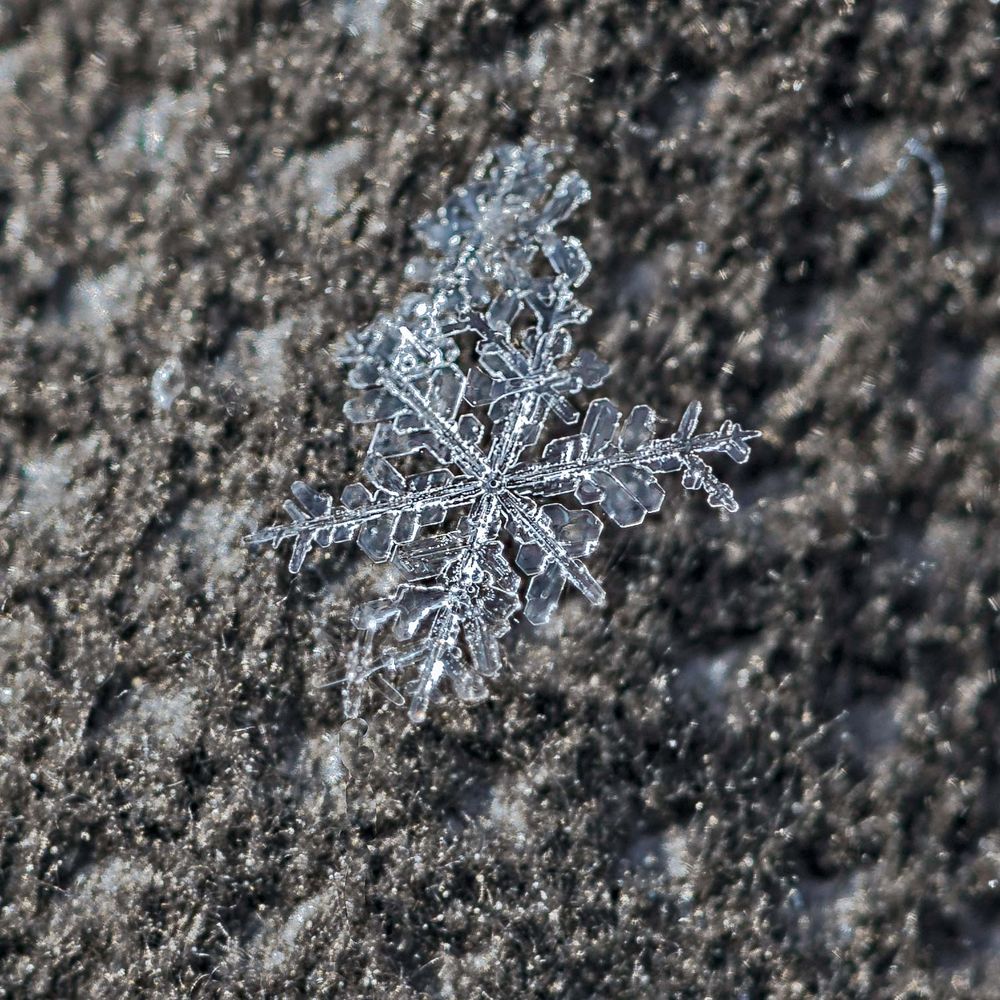 Schneekristall Foto &amp; Bild | jahreszeiten, winter, naturereignisse ...