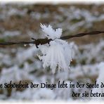 Schneekristall