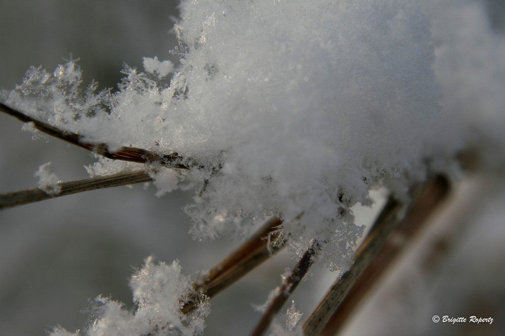 Schneekristalle