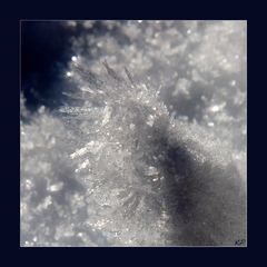 Schneekristalle (1)
