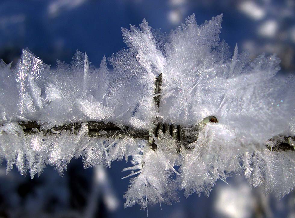 Schneekristalle Foto &amp; Bild | jahreszeiten, winter, natur Bilder auf ...