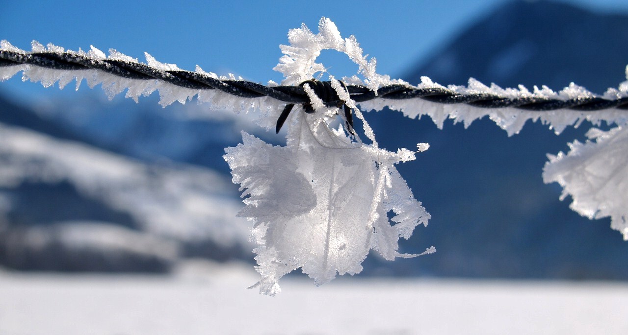 schneekristalle