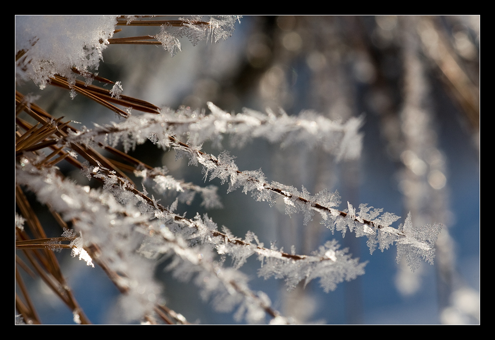 Schneekristalle