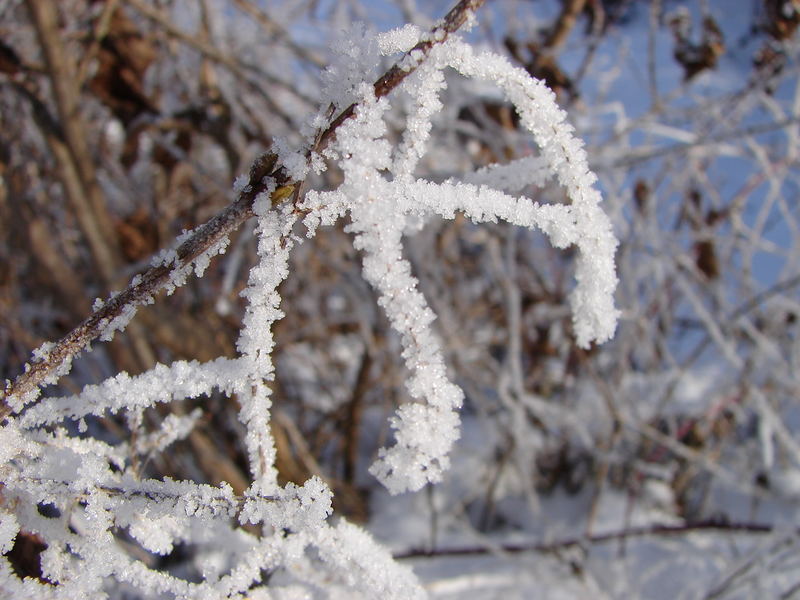 Schneekristalle