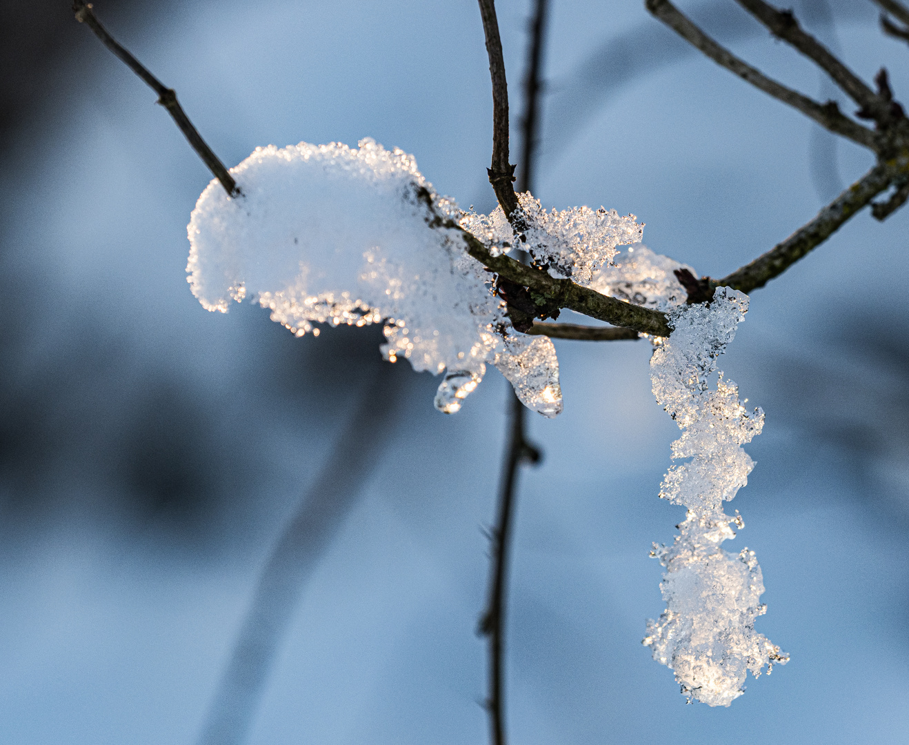 Schneekristalle