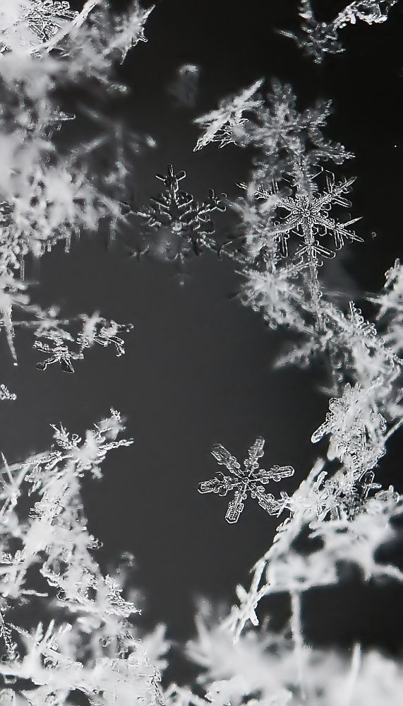 schneekristalle Foto &amp; Bild | jahreszeiten, winter, natur Bilder auf ...