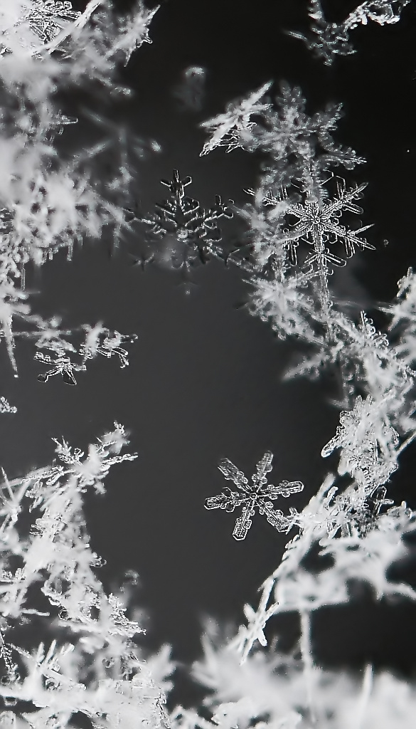 schneekristalle Foto & Bild | jahreszeiten, winter, natur Bilder auf