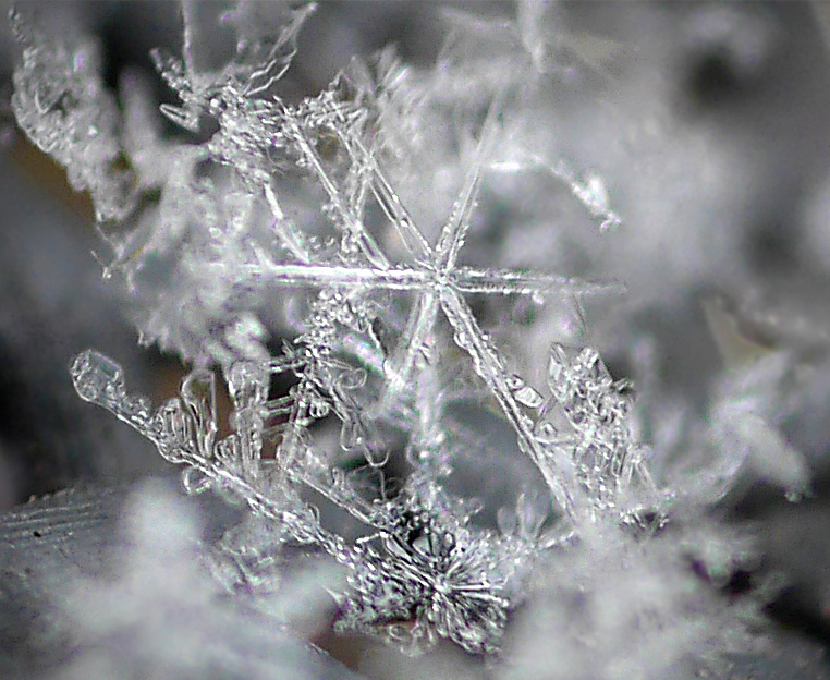 Schneekristalle Foto &amp; Bild | abstraktes, natur-makros, jahreszeiten ...