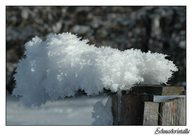 Schneekristalle