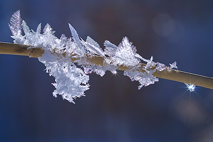 Schneekristalle Foto & Bild | archiv - kritik am bild, kritik am bild