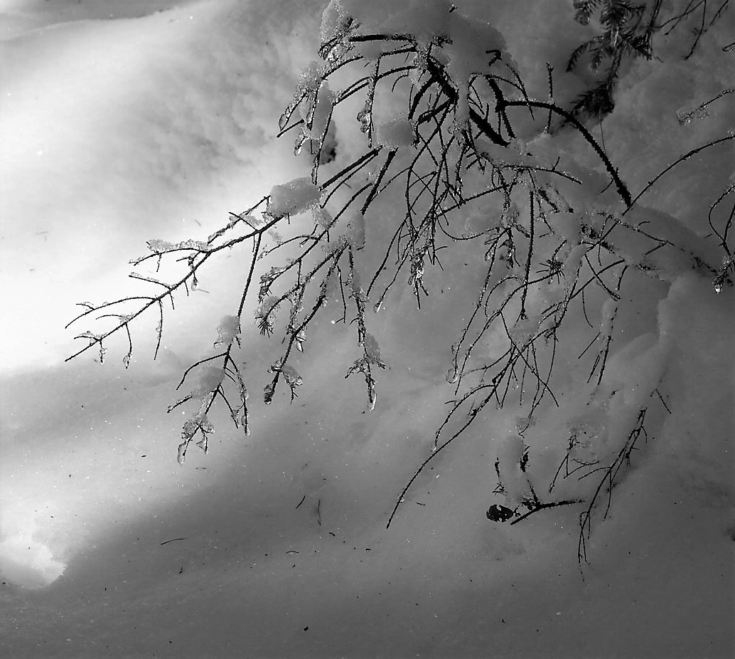 Schneekristalle Foto & Bild natur Bilder auf