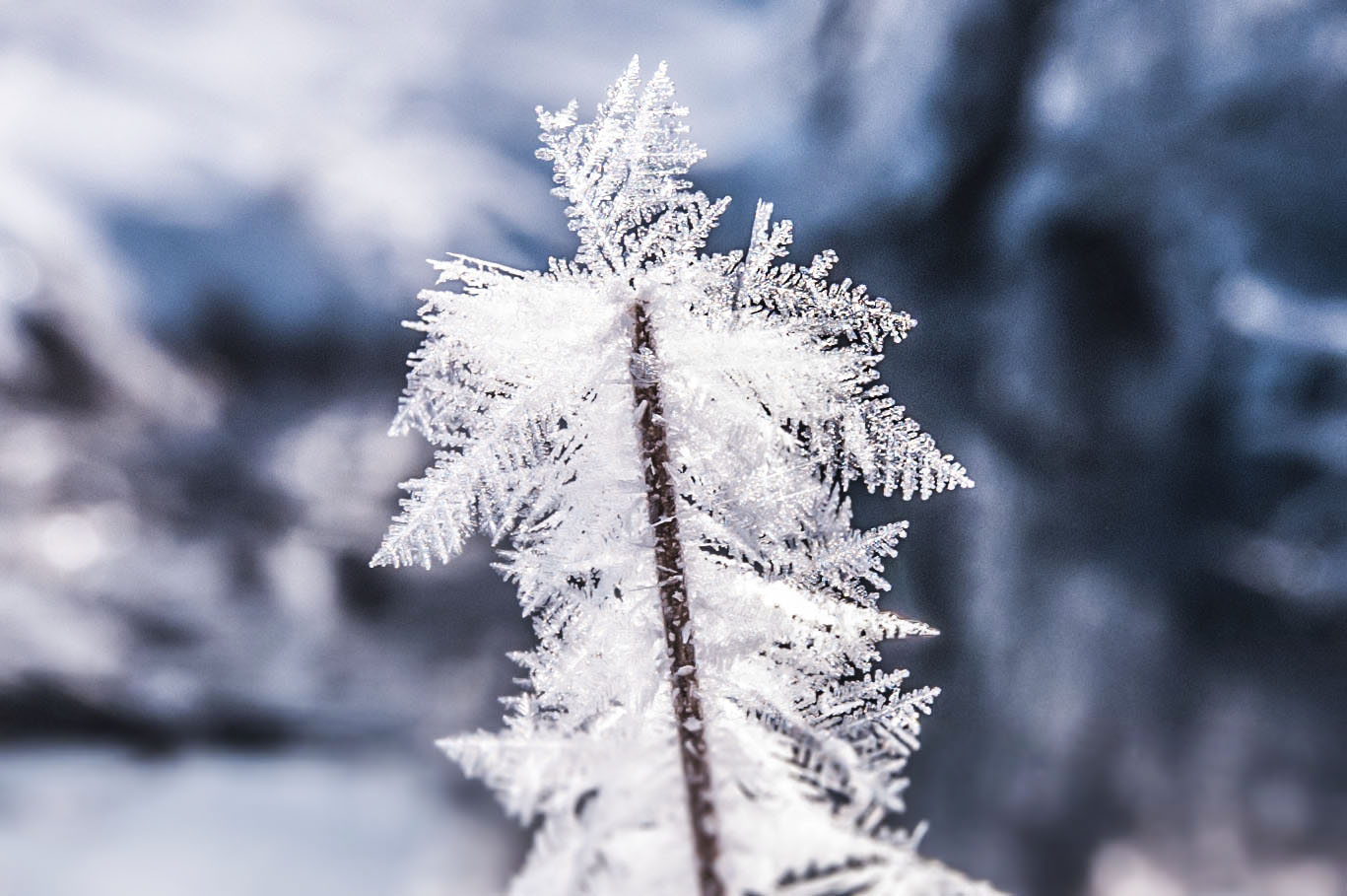 Schneekristalle Foto & Bild jahreszeiten, winter, natur Bilder auf