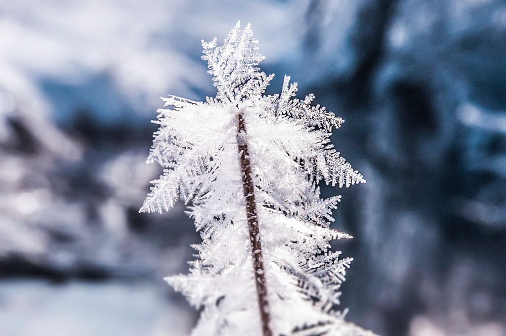 Schneekristalle Foto & Bild jahreszeiten, winter, natur Bilder auf