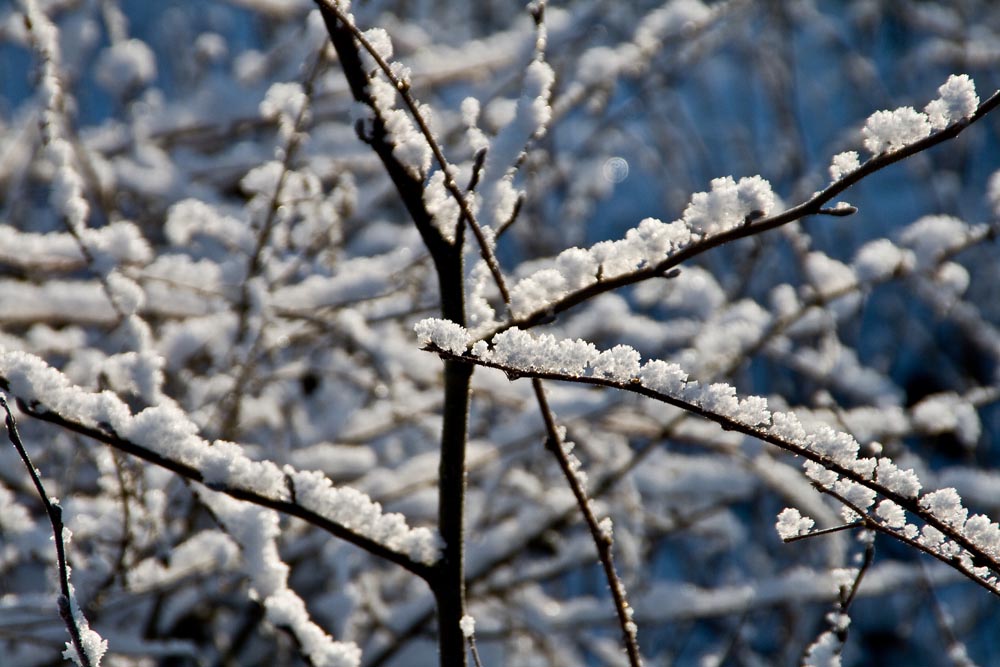 Schneekristalle