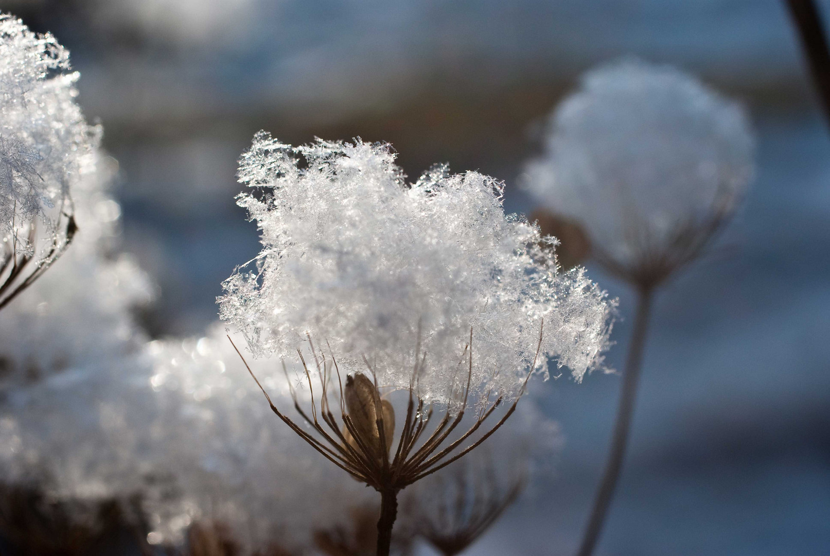 Schneekristalle