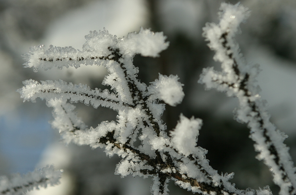 Schneekristalle