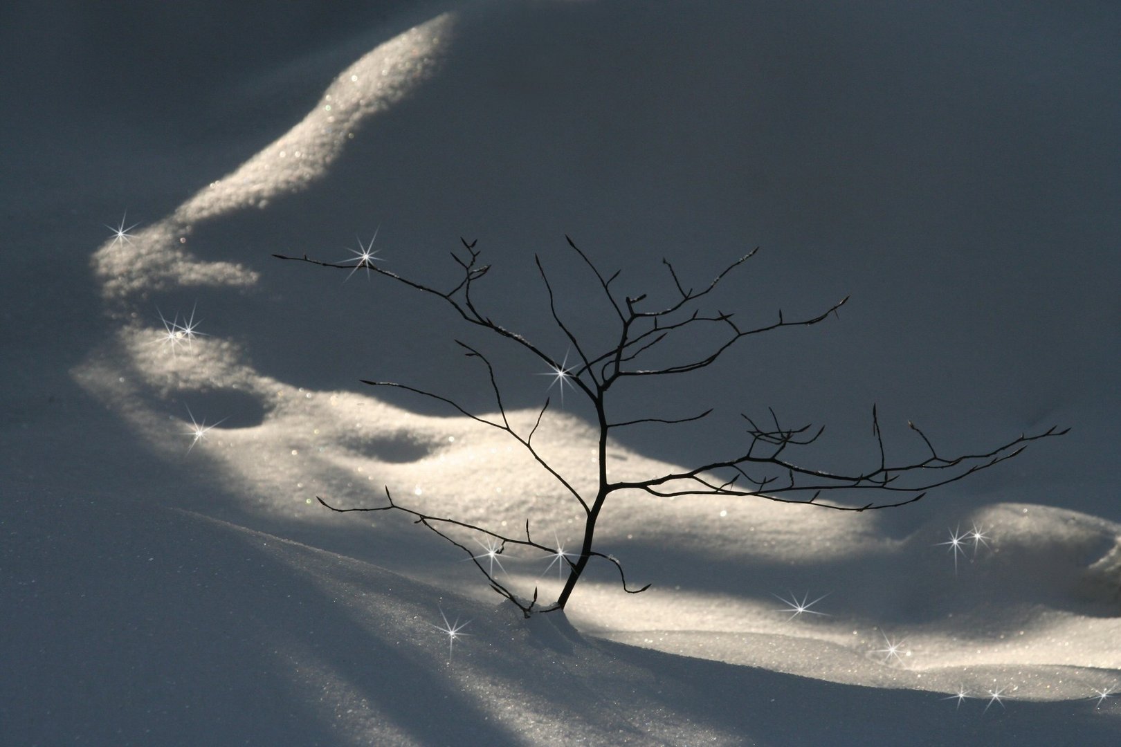 Schneekristalle Foto &amp; Bild | jahreszeiten, winter, natur Bilder auf ...