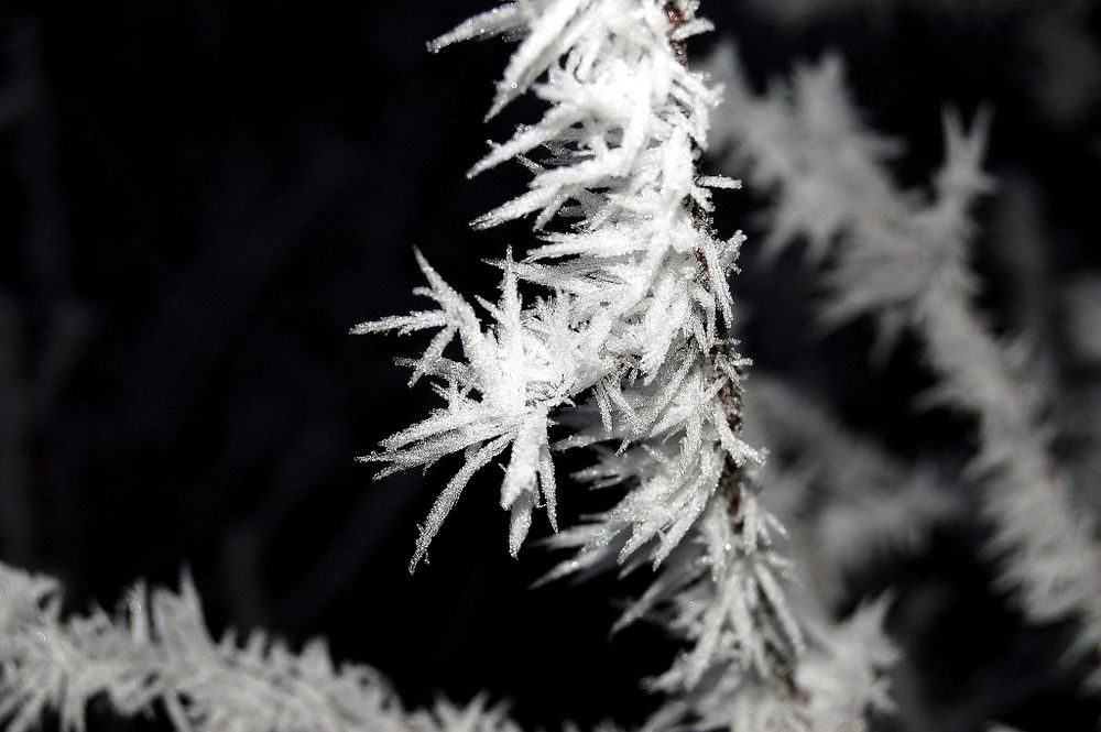 Schneekristalle Foto &amp; Bild | jahreszeiten, winter, natur Bilder auf ...