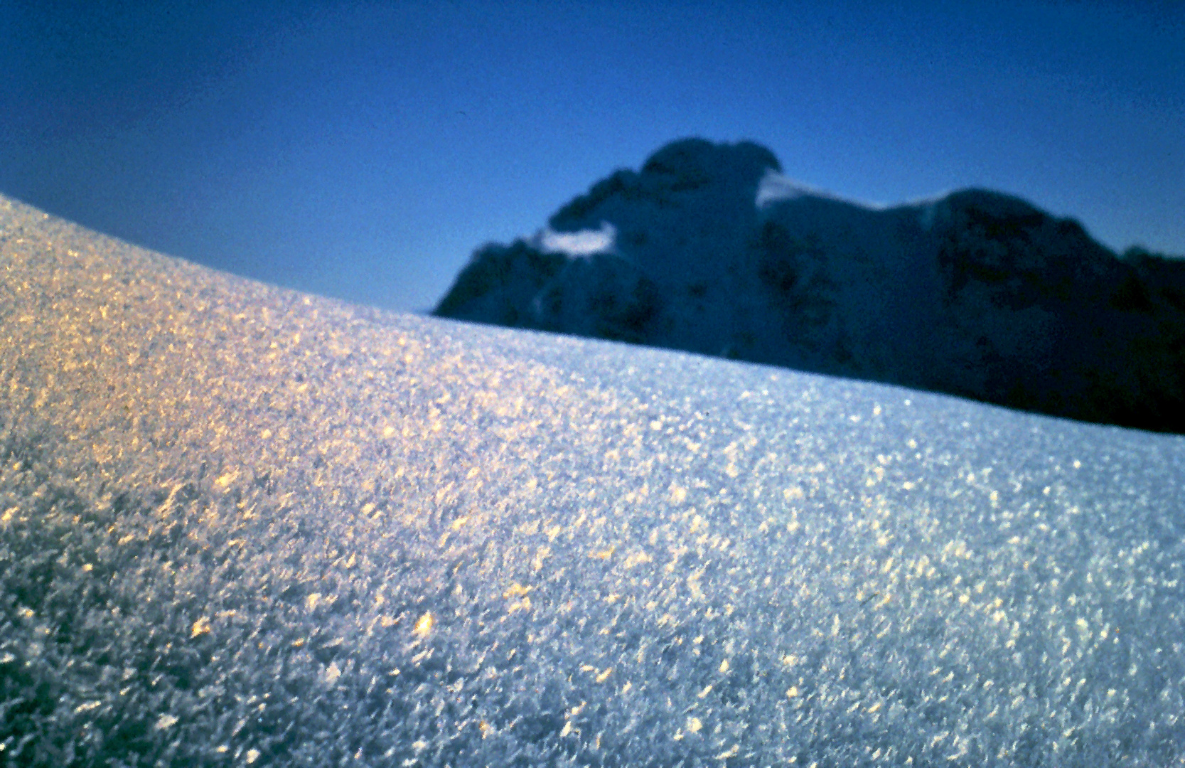 Schneekristalle im Gegenlicht