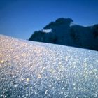 Schneekristalle im Gegenlicht