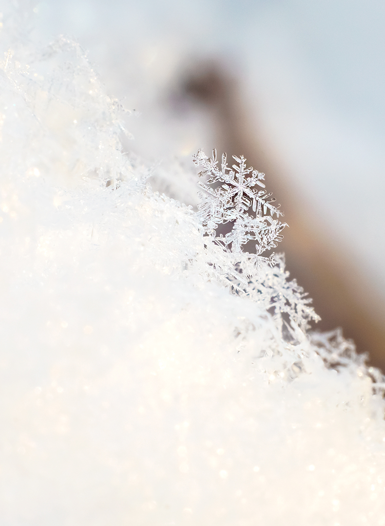 Schneekristalle im Sonnenlicht