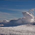 Schneekrokodil