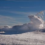 Schneekrokodil