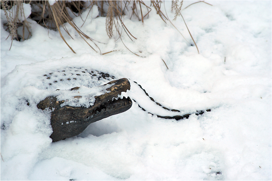 Schneekrokodil