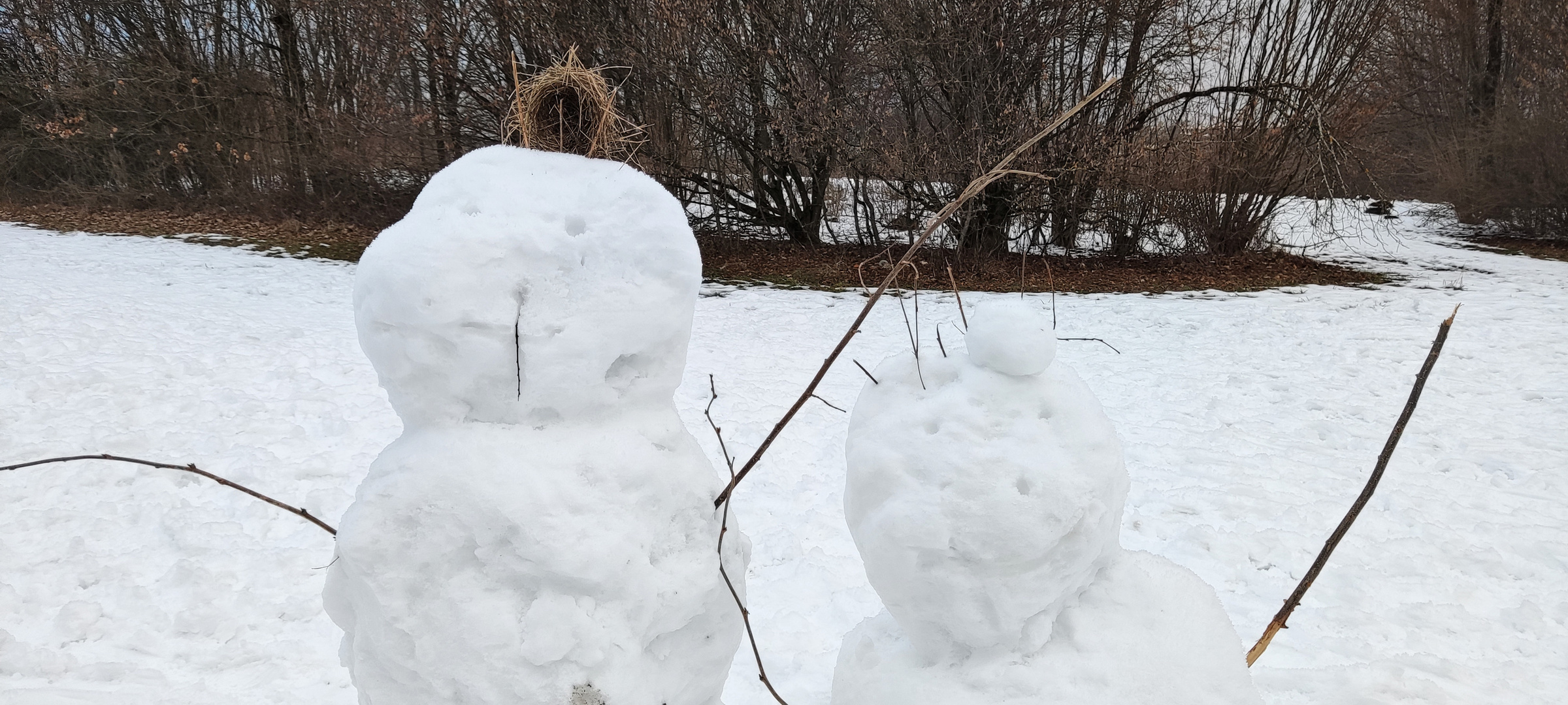 Schneekünstler...