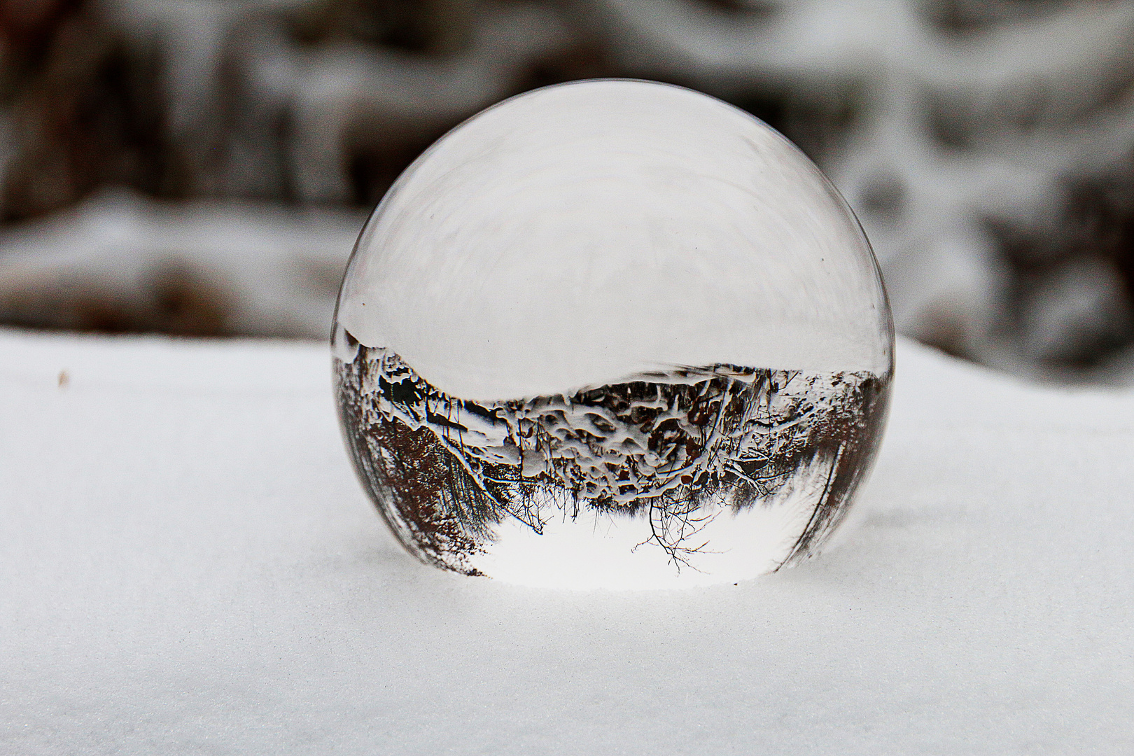Schneekugel Foto & Bild winter, schnee, jahreszeit Bilder auf