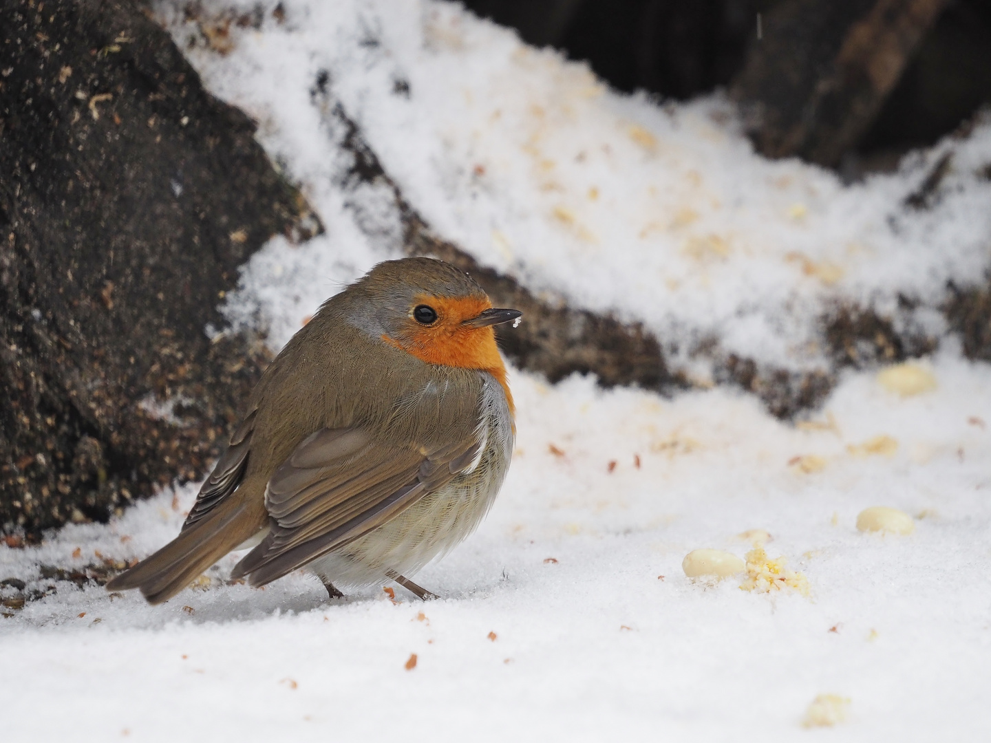 "Schnee.Kugel"