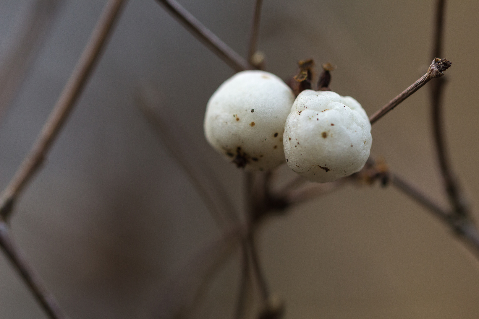 Schneekugel