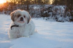 Schneekugel. Ehm..ich meine Mandy!