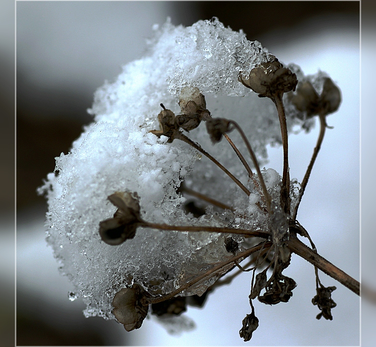 Schneekugel