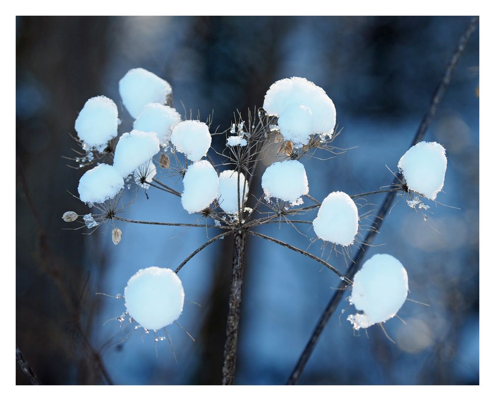 Schneekugeln