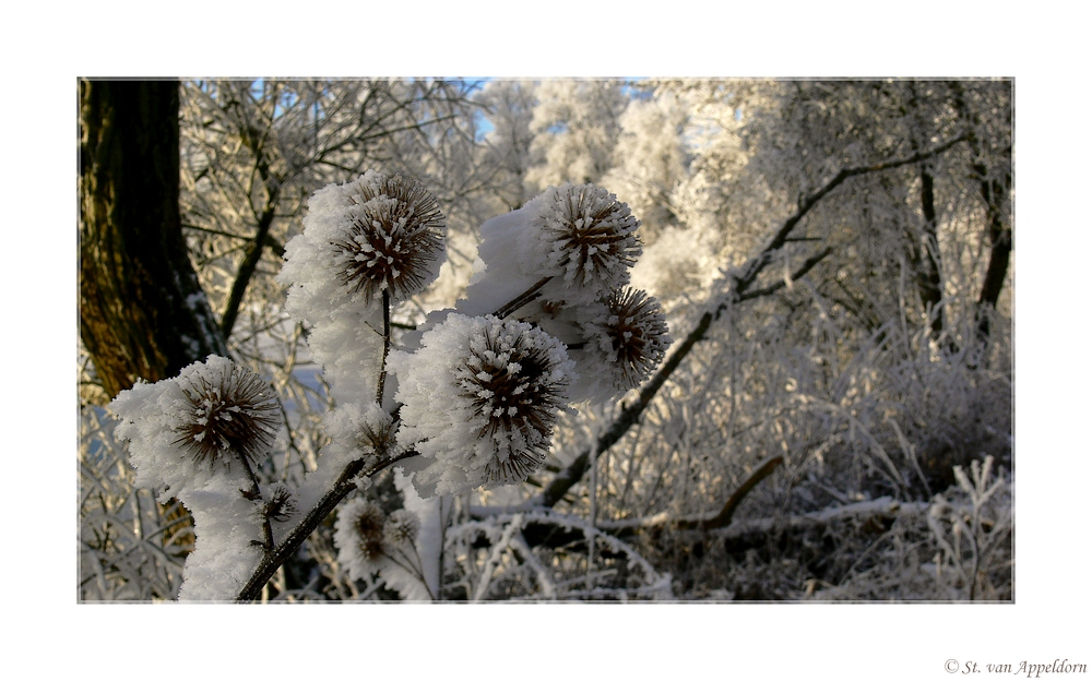 Schneekugeln...