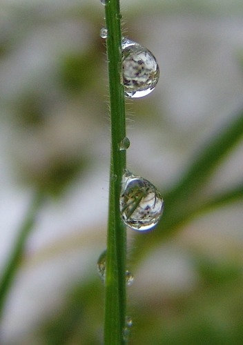 Schneekugeln