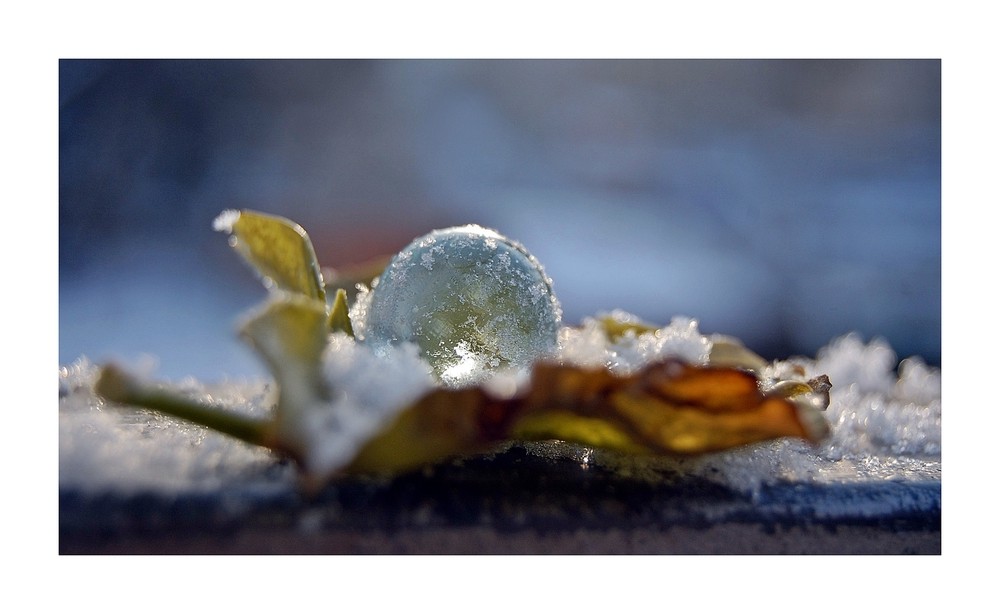 Schneekugeln VI: Eisperle