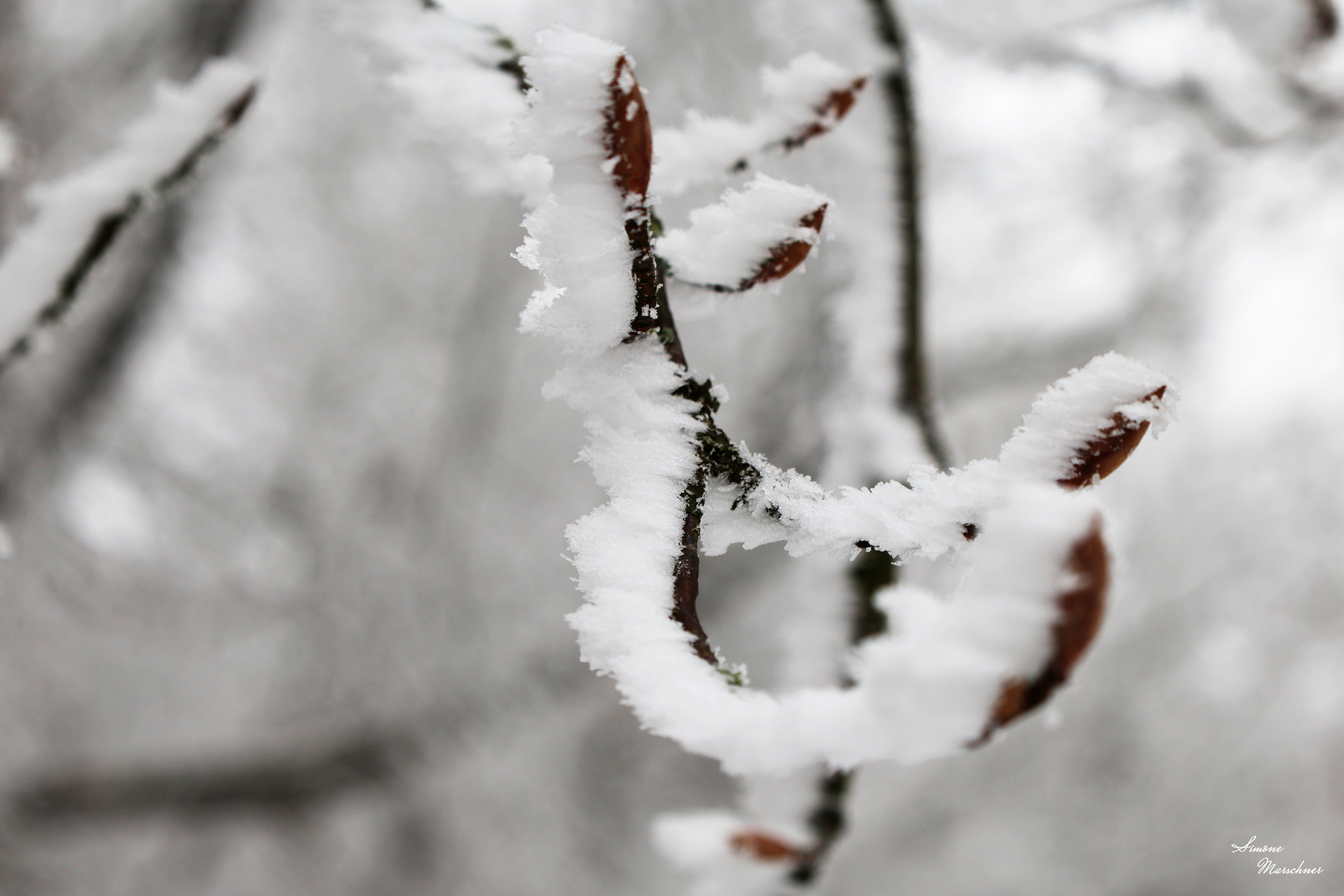 Schneekunstwerk