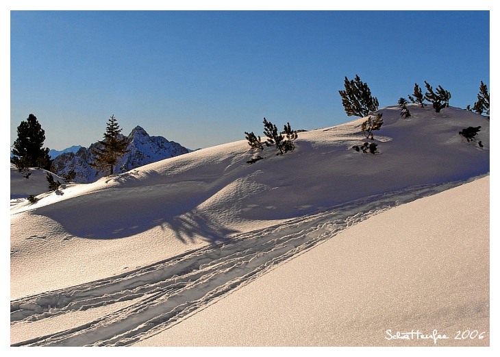 Schneekurven