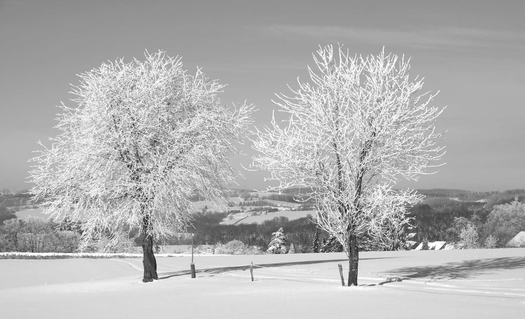 Schneeland