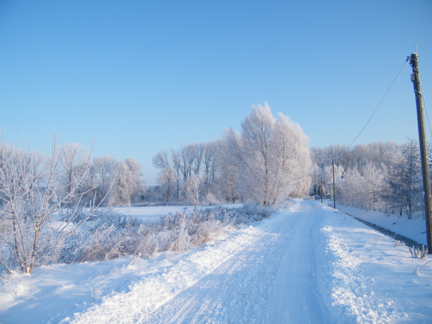 Schneeland