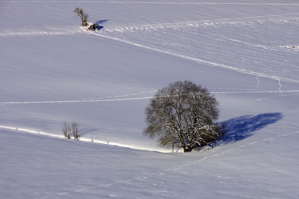 Schneeland