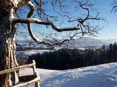 Schneeland Allgäu