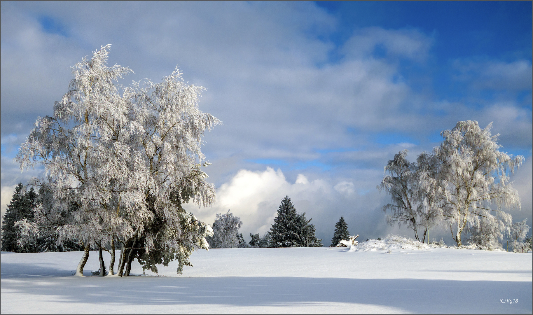 schneeland 