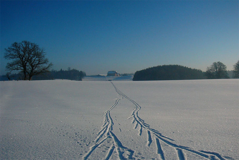 Schneelandschaft